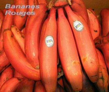 Des bananes rouges !