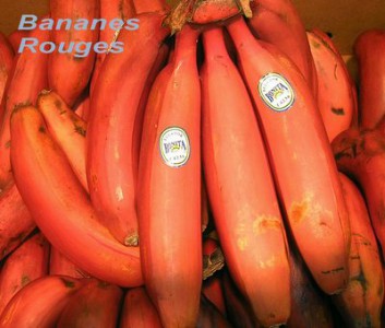 Des bananes rouges !